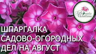 САДОВО ОГОРОДНЫЕ ДЕЛА В АВГУСТЕ