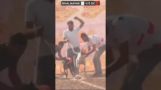 KHALNAYAK V/S DC💪 GREYHOUND DOG RACE 🦮#shortvideo #shorts #dograce #doglover #greyhound #viralshorts