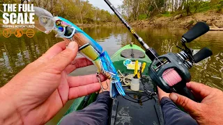 Goulburn River Topwater Murray Cod | The Full Scale
