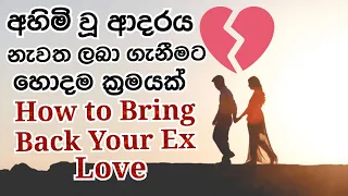 How To Get Back Your Ex BF/GF | අහිමි ආදරය ලබාගැනීමට | Sinhala | Path To Wisdom