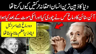 How Albert Einstein Brain Is Really Different Than Others