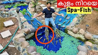 💥നമ്മുടെ തൊലി തിന്നുന്ന മീനുകളെ വാങ്ങി. | Bought Spa Fish | Fishing Freaks