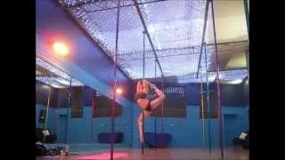 Advanced Pole Trick Training