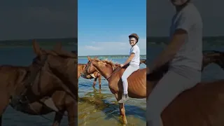 смешные моменты тренировок лошади конный спорт