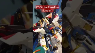 Bandai RG Strike Freedom Gundam #gundam #gunpla #gundamseed