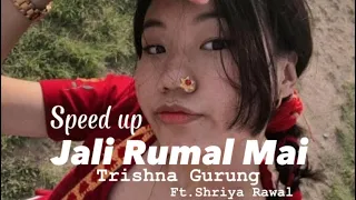 Phoola ko thunga koseli deula hai maya bhetesi|speed up|trishna gurung|tiktok version|jali rumal mai