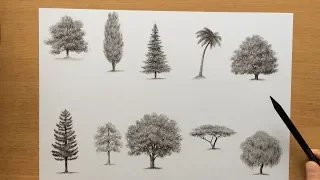 Drawing Trees With Charcoal Pencils