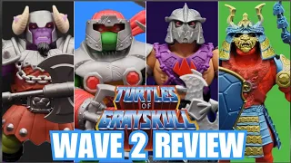 Worth the extra money I spent? - TMNT x He-Man Turtles of Grayskull Wave 2 Review
