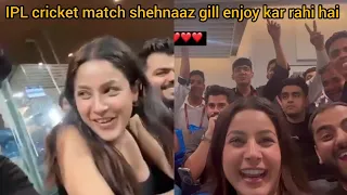 IPL cricket match dekh gaye thi shehnaaz gill new video viral #shehnaazgill
