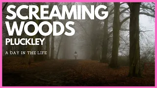 Screaming Woods - Pluckley
