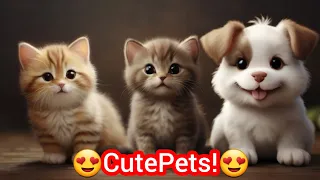 cute cats 🐈 😻 #cat #cute #cutecat #beautiful #animals #dog #doglover