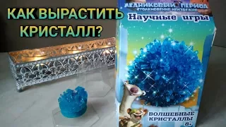 Вырастили КРИСТАЛЛ | ОБЗОР набора Волшебные Кристаллы от RANOK