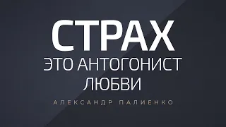 Страх - это антогонист любви. Александр Палиенко.