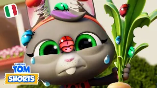 🥕 Attacco in giardino (Insetti fastidiosi 2) 🐞 - Talking Tom Shorts (S2 Episodio 36)