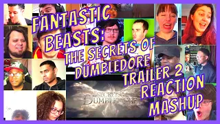 FANTASTIC BEASTS 3: THE SECRETS OF DUMBLEDORE - OFFICIAL TRAILER 2 - REACTION MASHUP - [AR]