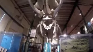 Museo Ciencias Naturales Madrid