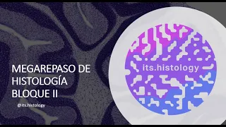 MEGAREPASO BLOQUE II (2023) - its.histology