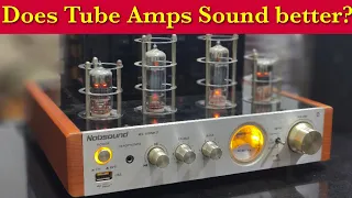 Budget Tube Amp | Nobsound MS 10D MK2 | tube amp vs solid state amp | explained in hindi | #stereo