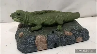 Singing Iguana but it plays the real song