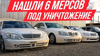 Нашли кучу S-Классов W220 в идеале, их не спасти! Мерседесы японских мажоров #ДорогоБогато Mercedes