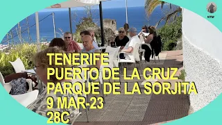 TENERIFE, Puerto de la Cruz, Parque de la Sortija, 9 Mar-23, 28C