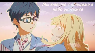 AMV "Мы всместе с птицами в небо уносимся" (Совместно с Natalie Re)