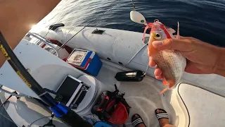 Inchiku, kabura i sabiki - kako uloviti ručak na godišnjem odmoru (part 1) - ribolov na moru