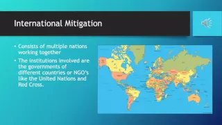 PAD 4391- International Mitigation Issues