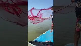 Most Satisfying Cast Net Fishing Video Catch with the morning glory 4
