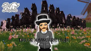 Tips for owning a BIG club on Star Stable!