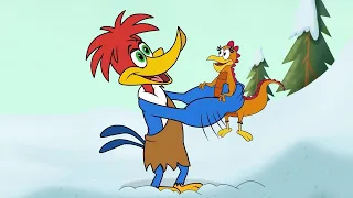 Woody Woodpecker | Woody saves a baby dinosaur | Woody Woodpecker