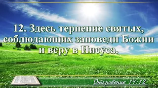 ВидеоБиблия Откровение Иоанна с музыкой глава 14 драматизированный перевод