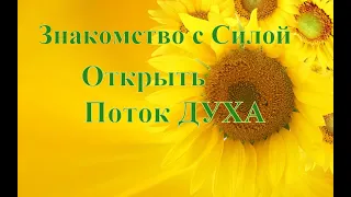 А.В.Клюев - О Заболеваниях - Как Супраментальная Сила Влияет - Истинное Единение - Трудности (17/44)