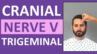 Cranial Nerve 5 Examination Nursing | Trigeminal Nerve | Cranial Nerve V Assessment