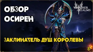 Обзор Осирен / Для 1 рейда / Навыки / Снаряжение / Watcher of Realms