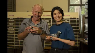 FANCIERS - An Australian short film about pigeon racing