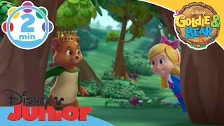 Goldie & Bear | Easy to be King Song | Disney Junior UK