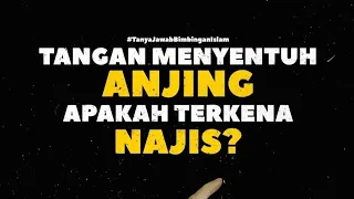 Tangan Menyentuh Anjing Apakah Terkena Najis