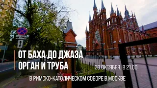 От Баха до джаза. Орган и труба – Анонс концерта в Соборе на Малой Грузинской