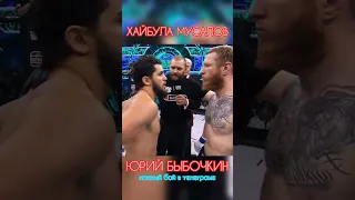 ХАЙБУЛА МУСАЛОВ РУБАНУЛ ЮРИЯ БЫБОЧКИНА #shorts #popmma #mma