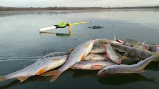 РЫБАКИ СМЕЯЛИСЬ ЧТО ЭТО НЕ ТА МОРМЫШКА- НО ПОТОМ КОГДА УВИДЕЛИ