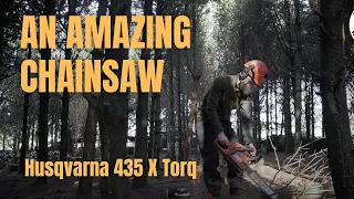The Husqvarna 435 X Torq Is An Amazing Chainsaw