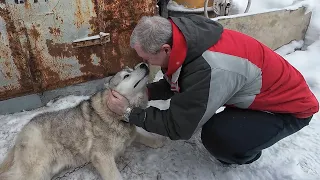 Connected at first sight...How are human and dog destinies intertwined?!