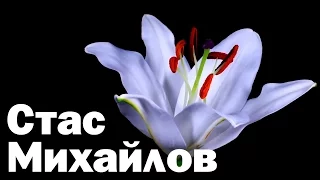Stas Mikhailov - Share the sky (Fan Video 2017)