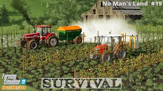 Survival in No Man's Land #19🔸Taking Care of Grape Vines. Weeds Control. Mowing Grass🔸FS22🔸4K