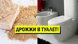 Извержение туалета! Нас обманывали? Вот что произойдет, если кинуть дрожжи-вся правда! Будете в шоке