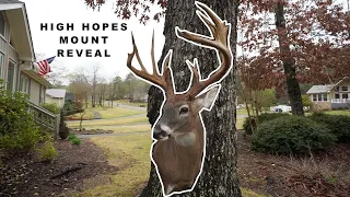 FRIST LOOK AT HIGH HOPES - TAXIDERMY - ALABAMA ARCHERY RECORD BOOK BUCK (REVEAL)
