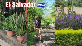 Jardines en EL SALVADOR: sus JARDINES DE CALLE, PLAZAS, INTERIORES y más