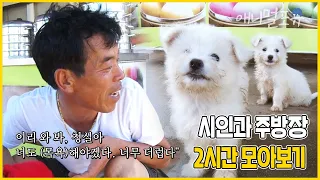 오늘은 꼬질해진 꼬물이들 목욕하는 날 🐶 시인과 주방장이 있는 작은 중국집 2시간 모아보기! | 시인과 주방장 | KBS 인간극장 2019 방송