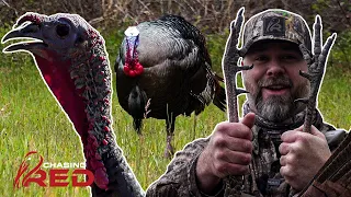 Turkey Hunting TOUGH Conditions In Florida, A First Ever Gobbler In Georgia | Chasing Red